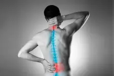 Spine Treatment